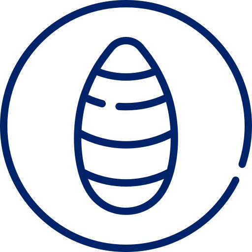 seda.png__PID:8df04768-4676-4a85-9ae0-821935eb4448